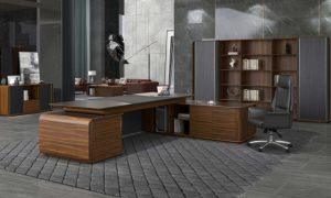 Transform Your Workspace with DIOUS Furniture's Diverse Range of Office Products